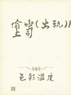 偷吃(出轨)h上司