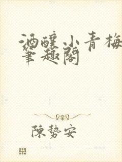 酒酿小青梅po笔趣阁