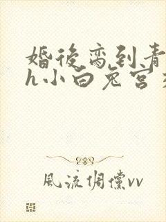 婚后脔到青梅哭h小白兔宫交h