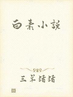 白素小说