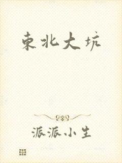 东北大坑封面