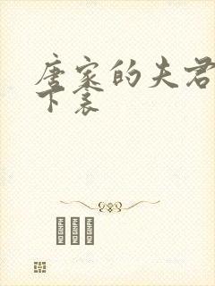 唐家的夫君们帘下衾封面