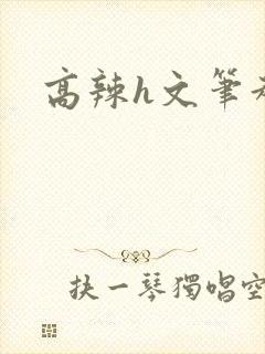 高辣h文笔趣阁
