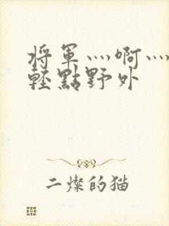 将军灬啊灬啊灬轻点野外