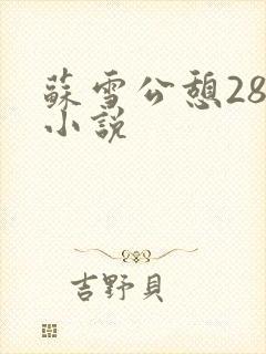 苏雪公憩28篇小说