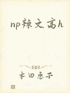 np辣文高h封面