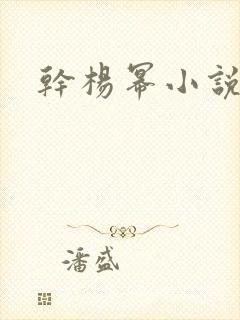 干杨幂小说封面