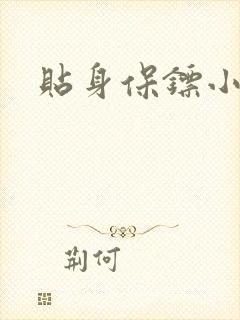 贴身保镖小说