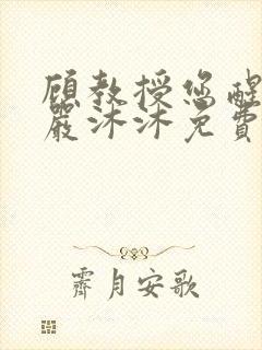 顾教授您醒了吗严沐沐免费阅读全文小说