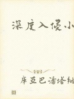 深度入侵小说