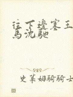 往下边塞玉器骑马沈驰封面
