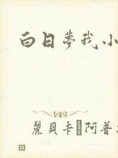 白日梦我小说封面