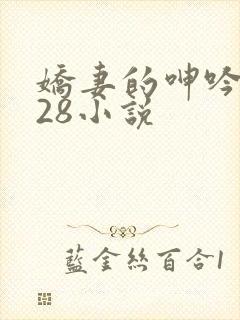 娇妻的呻吟1—28小说