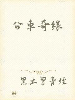 公车奇缘