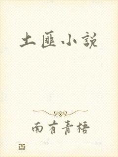 土匪小说