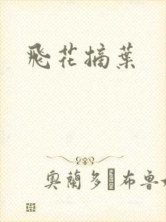 飞花摘叶封面