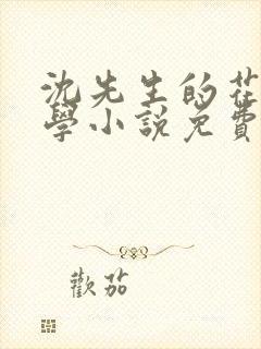 沈先生的花式教学小说免费