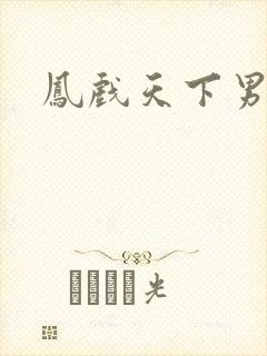 凤戏天下男