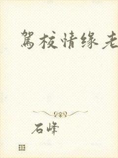 驾校情缘老赵