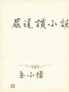 尿道锁小说