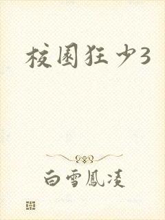 校园狂少3封面