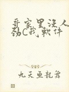 哥家里没人使点劲C我软件