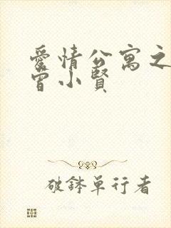 爱情公寓之极品曾小贤