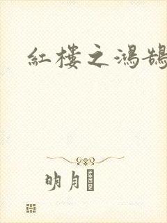 红楼之鸿鹄