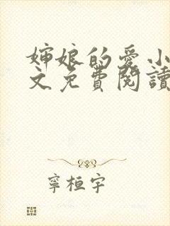 婶娘的爱小说全文免费阅读