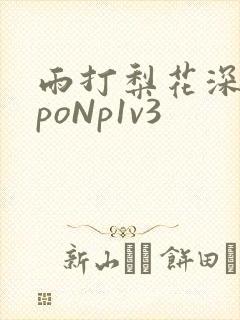 雨打梨花深闭门poNp1v3