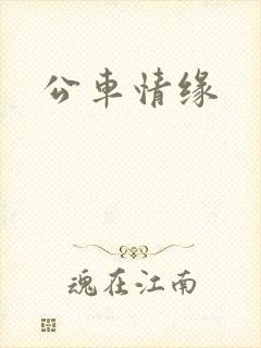 公车情缘封面