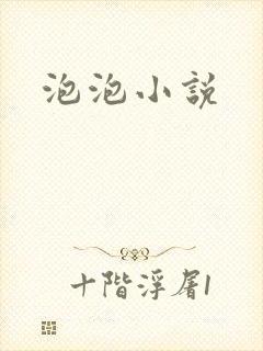 泡泡小说封面