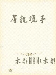 屠龙猎手