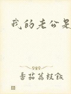 我的老公是军阀