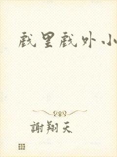 戏里戏外小说
