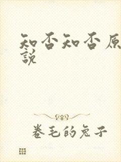 知否知否原著小说封面