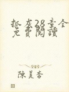 抓灰28章全部免费阅读