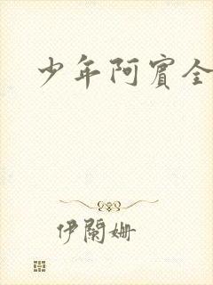 少年阿宾全集封面