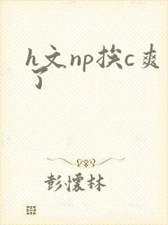 h文np挨c爽了