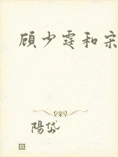 顾少霆和宋斯曼