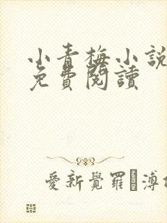 小青梅小说全文免费阅读封面