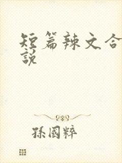 短篇辣文合集小说封面