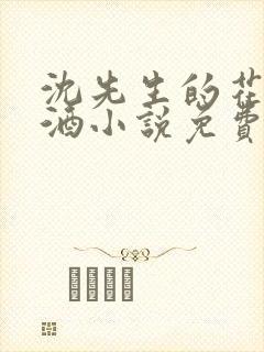沈先生的花式调酒小说免费阅读封面
