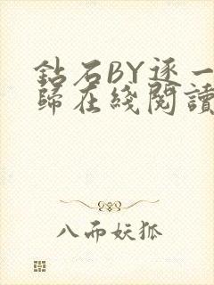 钻石BY逐一而归在线阅读