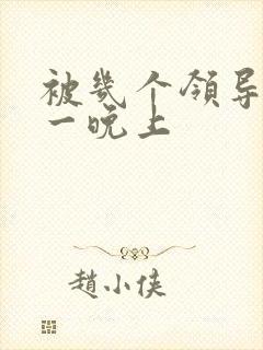 被几个领导玩弄一晚上