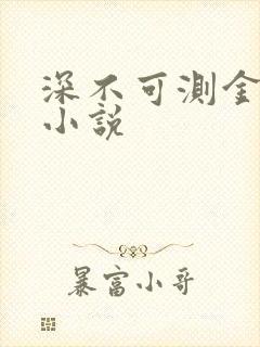深不可测金银花小说