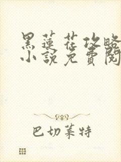 黑莲花攻略手册小说免费阅读全文
