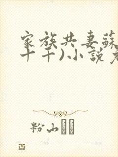 家族共妻苏苏(十千)小说免费