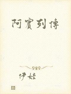 阿宾列传封面
