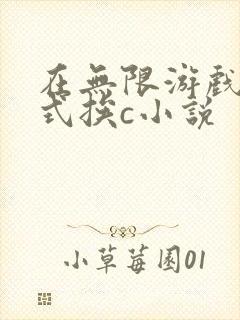 在无限游戏里花式挨c小说封面